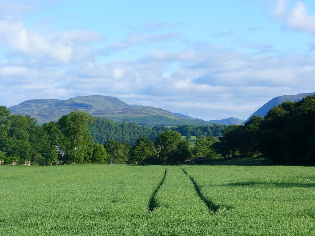 Spacious Cottage - Walk To Crieff Exterior foto
